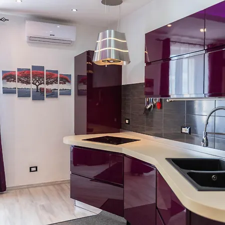 Apartment Purple House